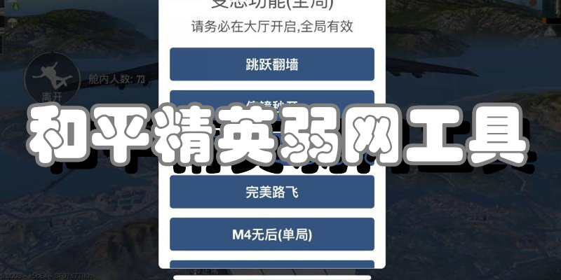 和平精英弱网工具
