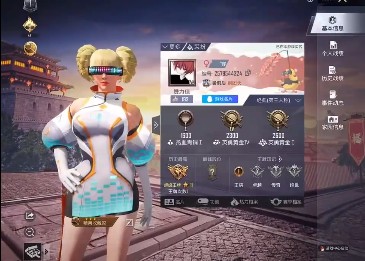 和平精英万能美化包免费版