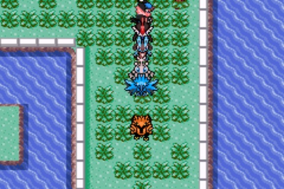 口袋妖怪格查尔汉化版