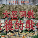 女忍最后的战争汉化版