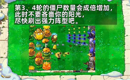 植物大战僵尸杂交版随机盲盒