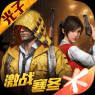 和平精英佩琪美化包