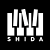 shida弹琴助手蛋仔派对