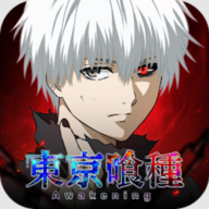东京喰种觉醒国际服