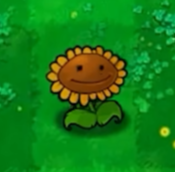 植物大战僵尸无名版正版