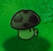植物大战僵尸无名版正版