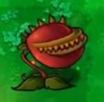 植物大战僵尸无名版正版