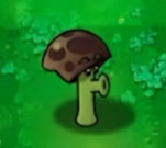 植物大战僵尸无名版正版