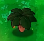 植物大战僵尸无名版正版