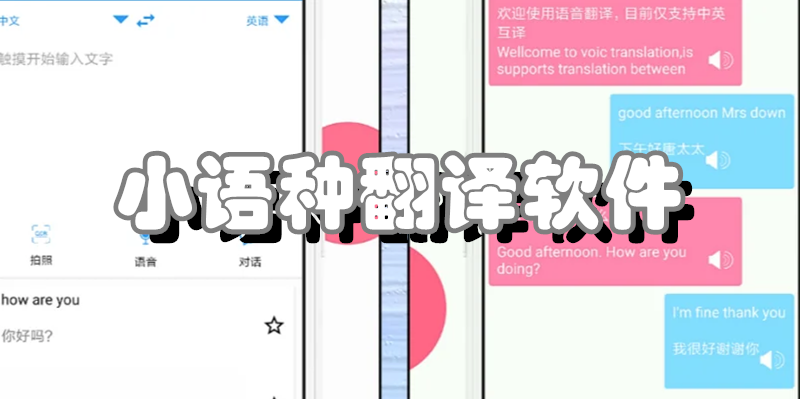 小语种翻译软件