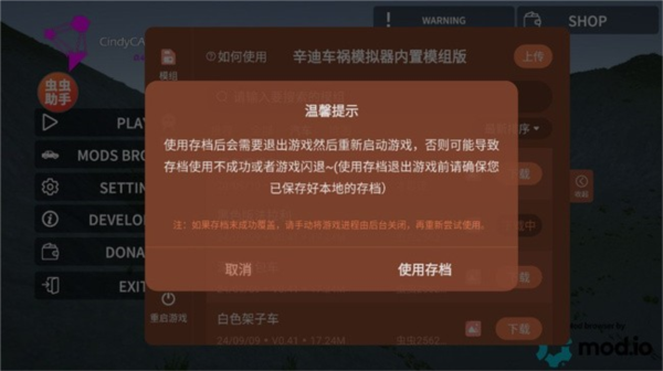 辛迪车祸模拟器