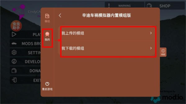 辛迪车祸模拟器