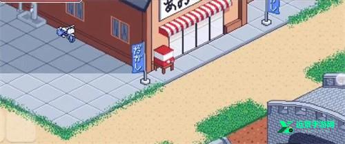 寻找夏日的宝物