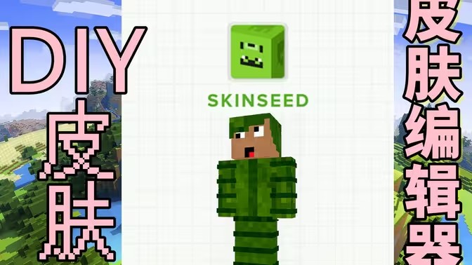 游戏皮肤编辑器