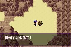 口袋妖怪漆黑的魅影5.0ex