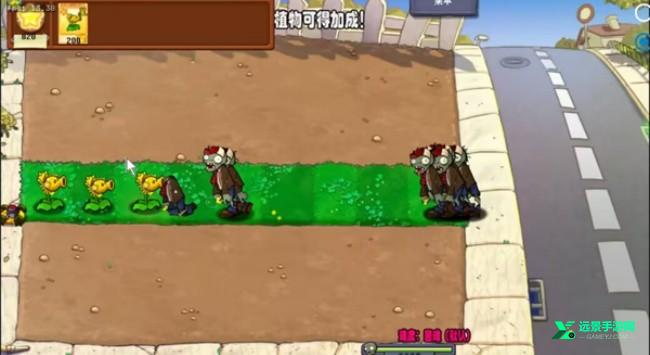 植物大战僵尸杨桃版