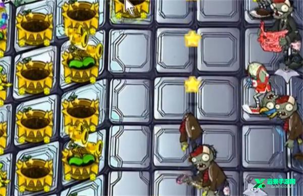 植物大战僵尸杨桃版