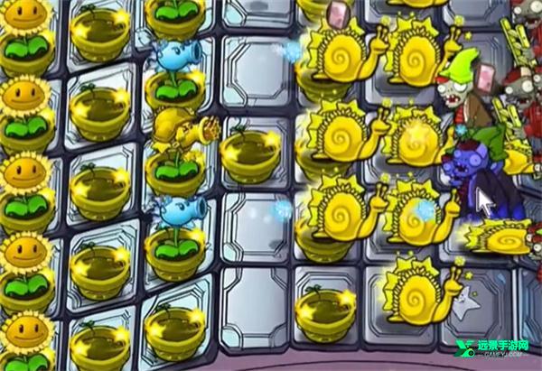 植物大战僵尸杨桃版