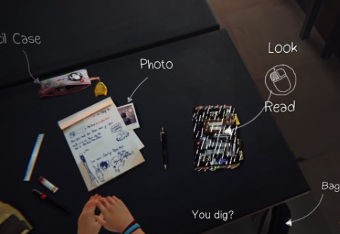 奇异人生手机版