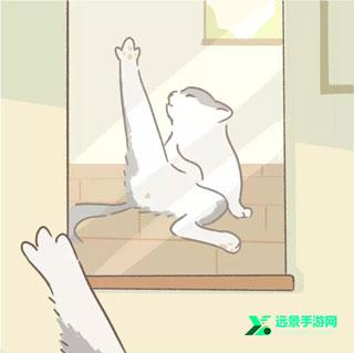 遇见你的猫国际版