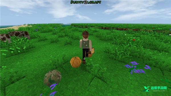 生存战争2.3扩展版