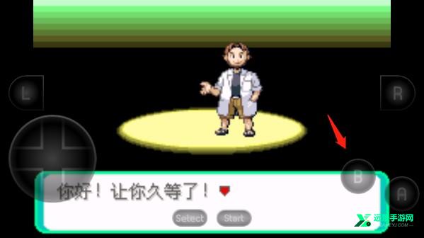 精灵宝可梦绿宝石随机版