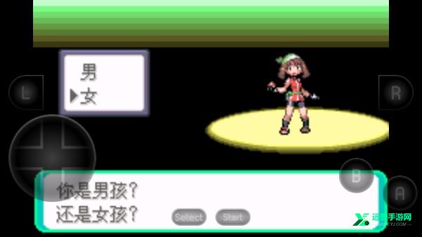 精灵宝可梦绿宝石随机版