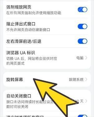 波波浏览器老司机版