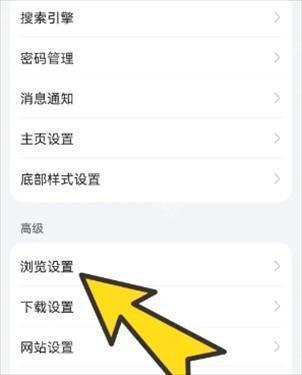 波波浏览器老司机版