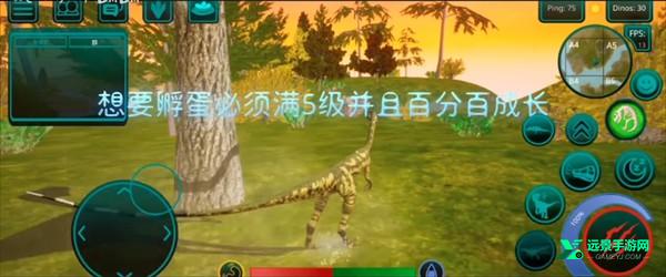 诅咒之岛中文版