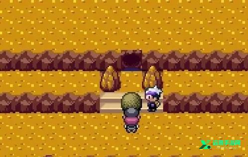 口袋妖怪漆黑的魅影5.0exbw版