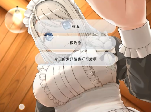 我与索菲亚的秘密汉化版