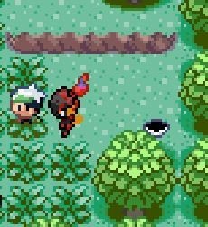 口袋妖怪格查尔8.2完美汉化版