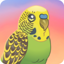 鸟类世界汉化版