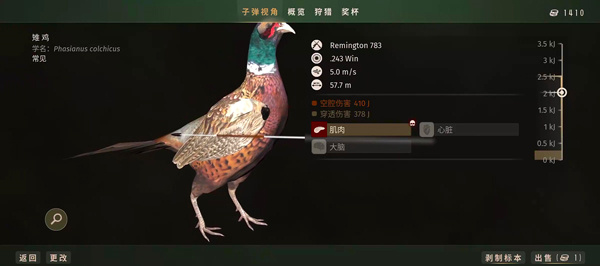 猎人之路手机版