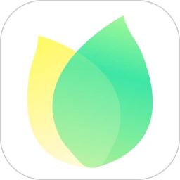 飞火动态壁纸手机版