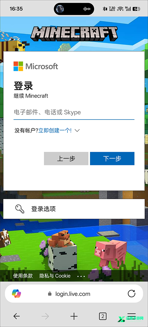 我的世界1.21.5基岩版