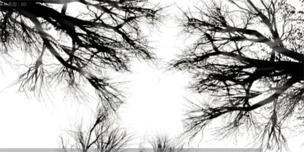 故事里的秘密安卓版