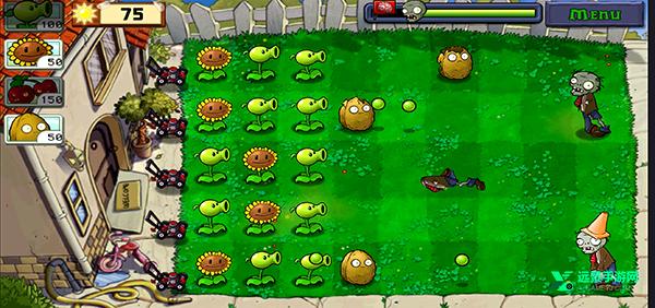 植物大战僵尸高清版