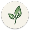 LeviLauncher开源版