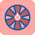 轮盘定制app