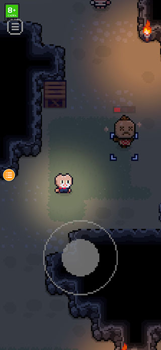 回家的猫中文版