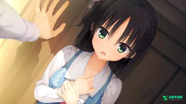 千恋万花冷狐版