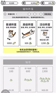 猫咪真的很可爱国际版