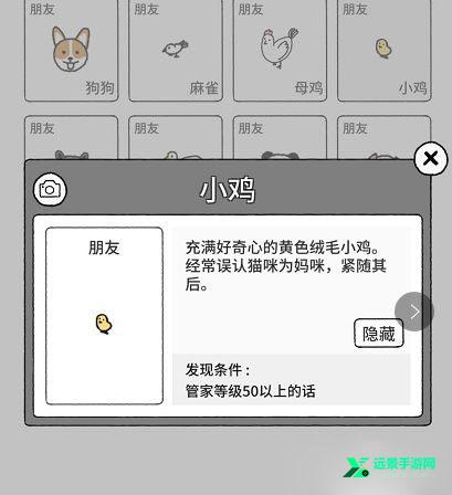 猫咪真的很可爱国际版