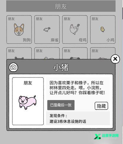 猫咪真的很可爱国际版