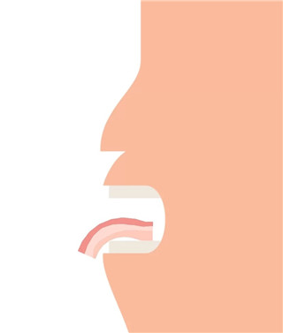 培根游戏中文版