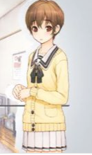 君与彼女与彼女之恋安卓直装冷狐版
