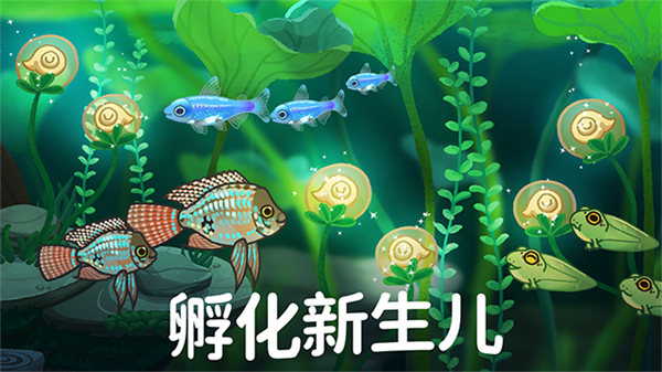 池趣官方版