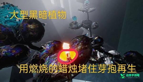 光遇谷歌版